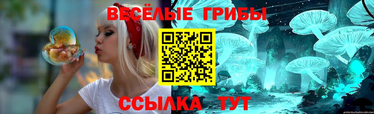 Псилоцибиновые грибы прущие грибы  Вход с VPN  Геленджик 