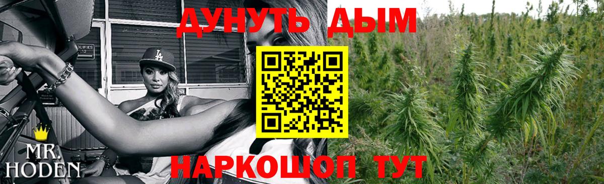 Канабис OG Kush Геленджик
